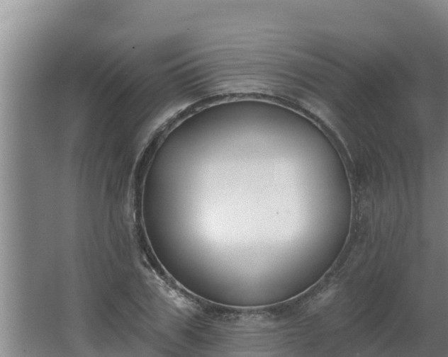 X0000064050979200602031619