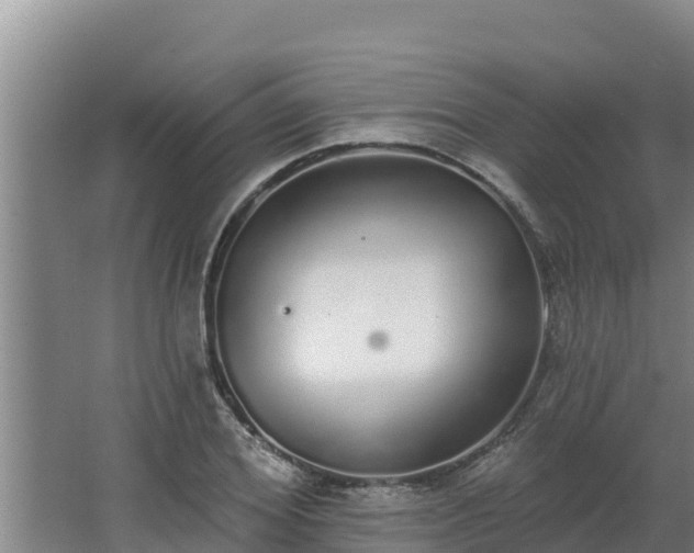 X0000064050980200602031619