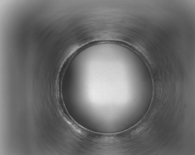 X0000064050982200602031619