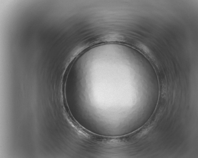 X0000064050986200602031619