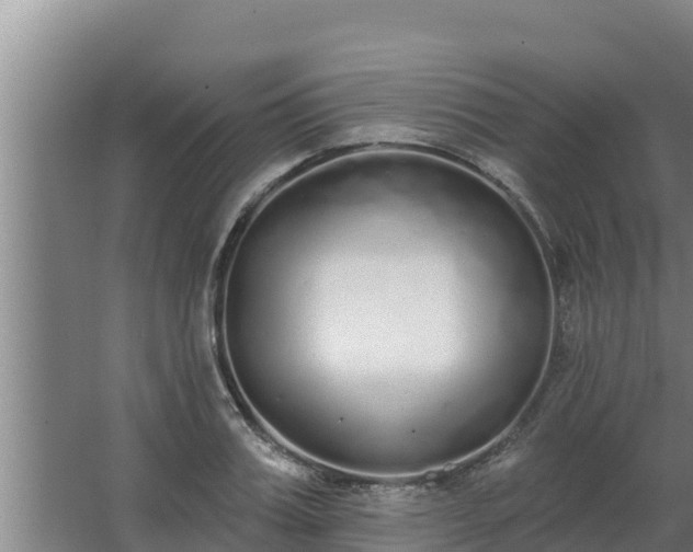 X0000064050987200602031619