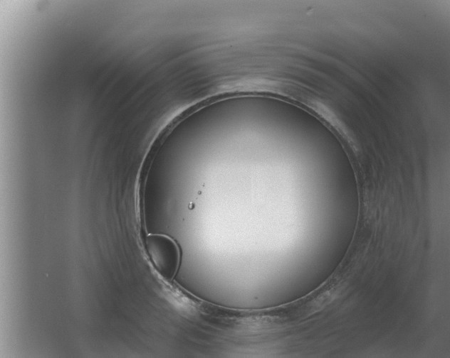 X0000064050988200602031619