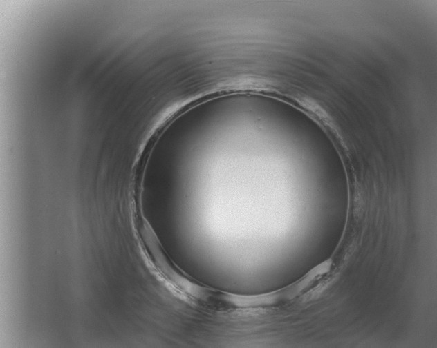 X0000064050989200602031619