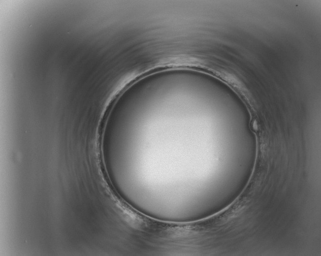 X0000064050990200602031619