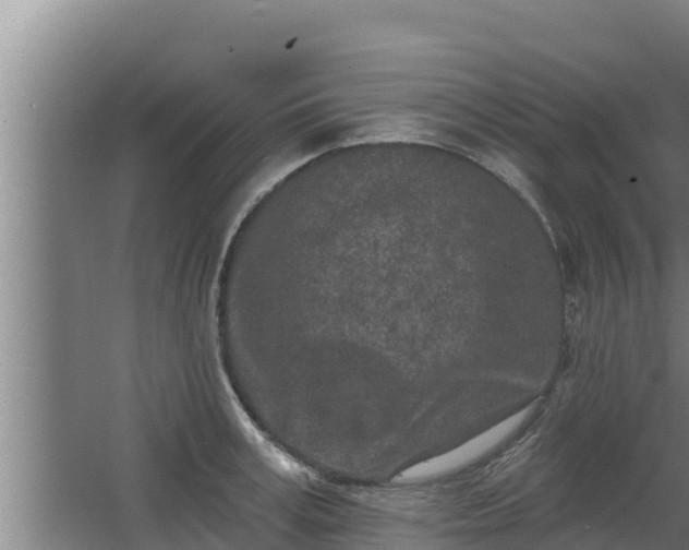 X0000064050995200602031619