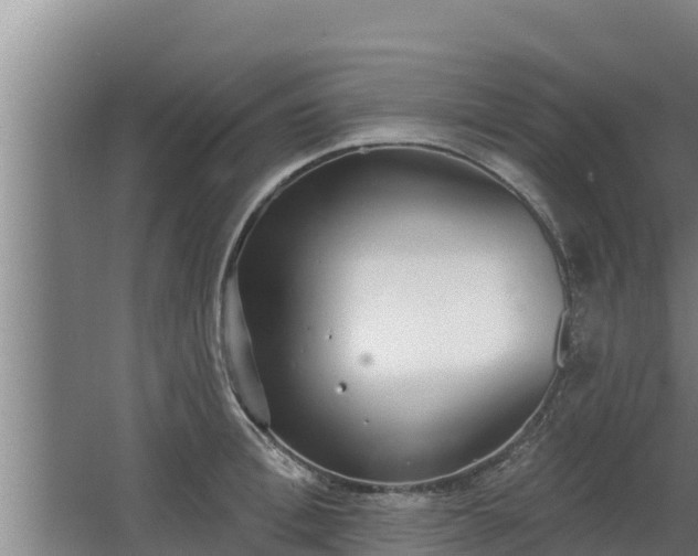 X0000064050996200602031619