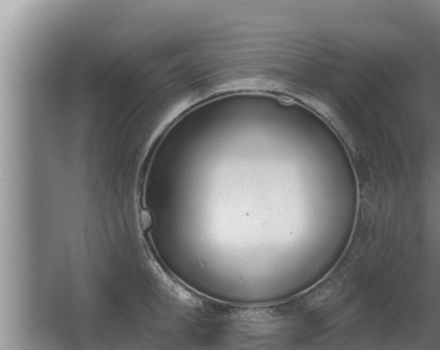 X0000064050998200602031618