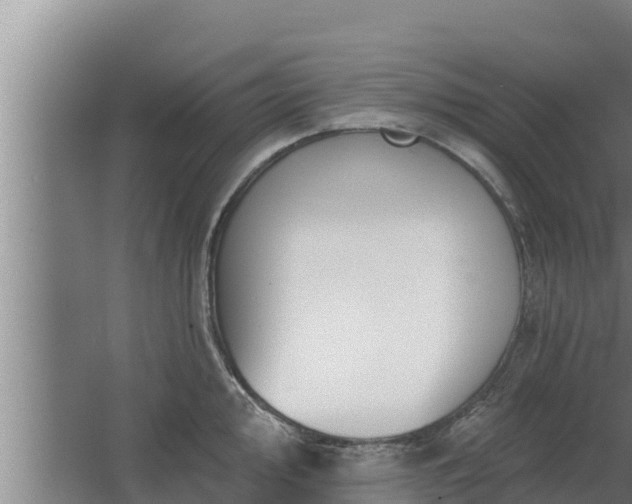 X0000064051000200602031618