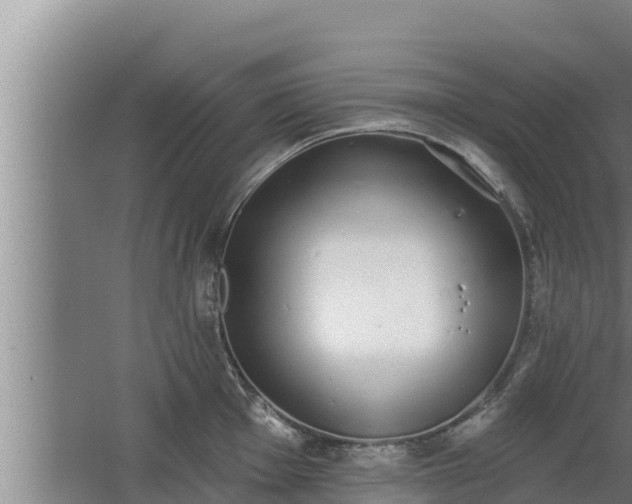 X0000064051001200602031618