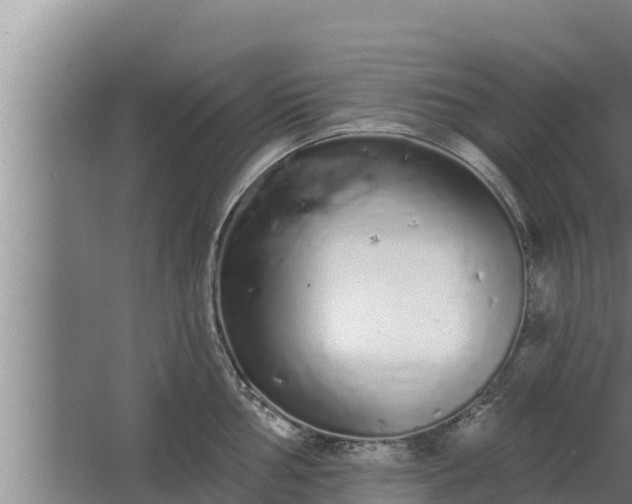 X0000064051002200602031618