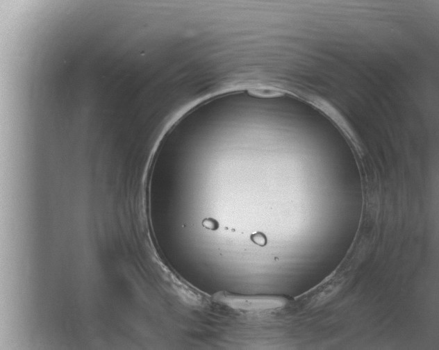 X0000064051004200602031618