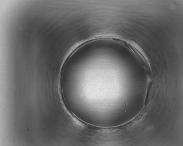 X0000064051005200602031618