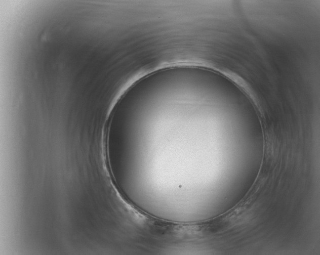 X0000064051006200602031618