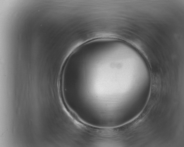 X0000064051007200602031618