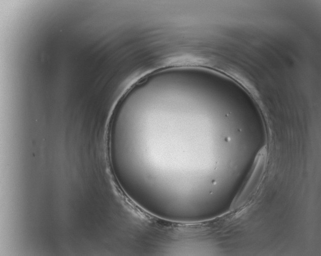 X0000064051008200602031618