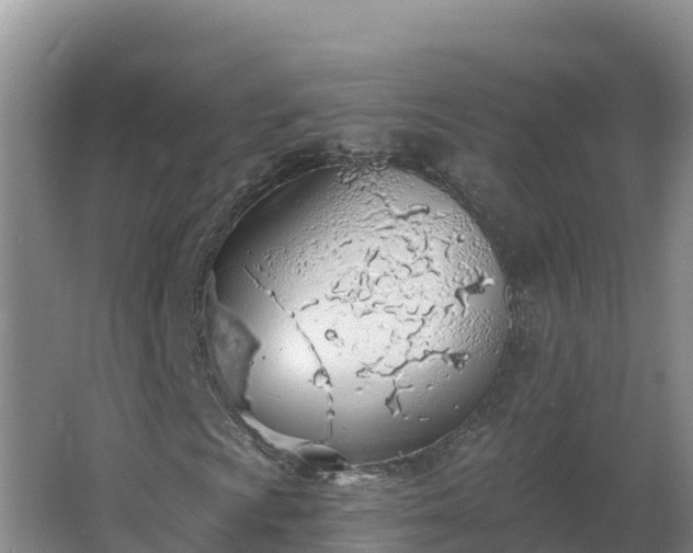 X0000064051009200602031618