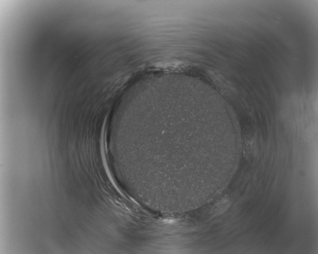 X0000064051010200602031618