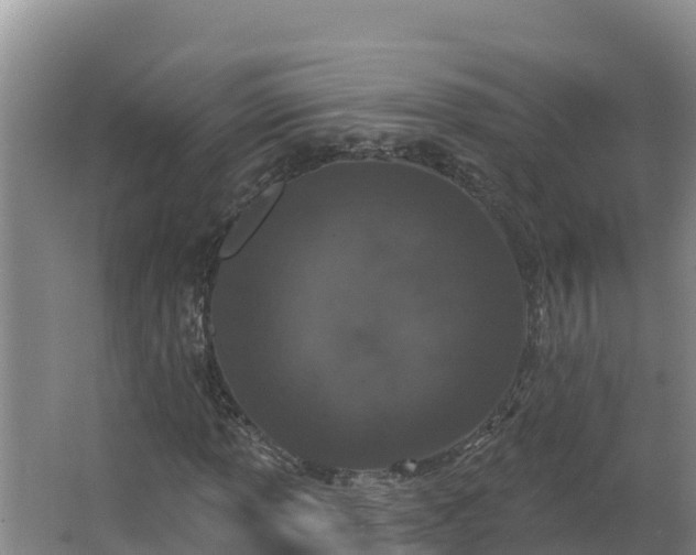 X0000064051013200602031618