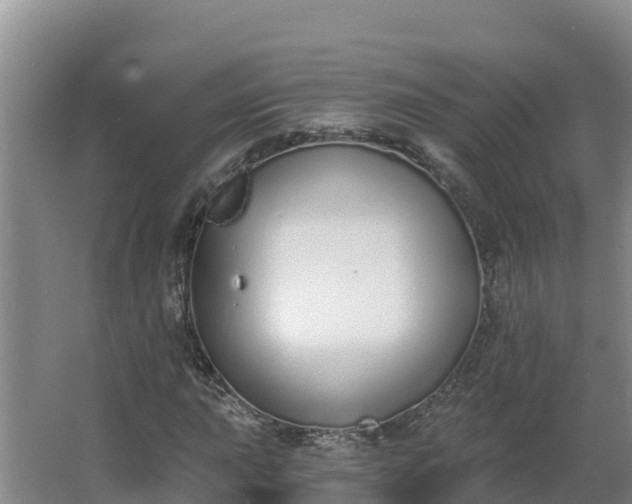 X0000064051015200602031618