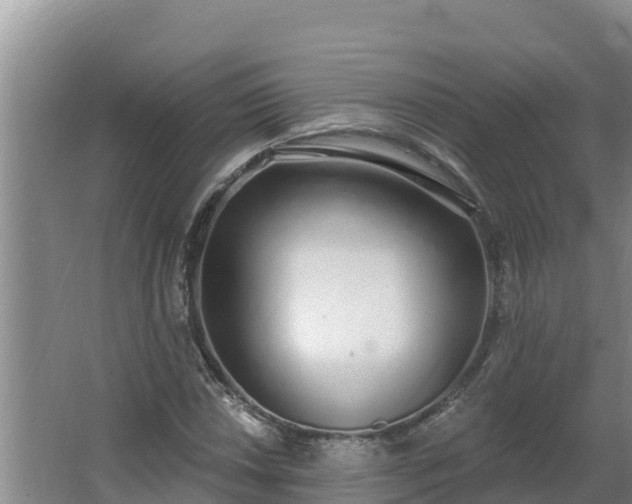 X0000064051018200602031618