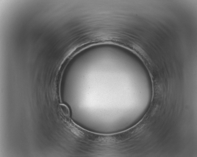 X0000064051023200602031618