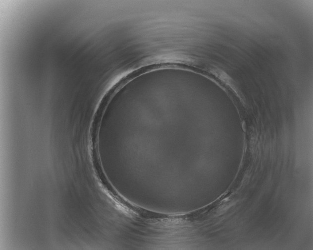 X0000064051024200602031618