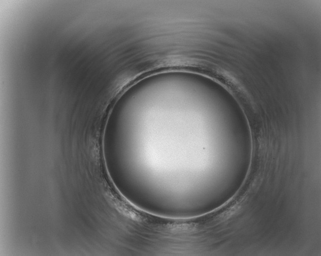 X0000064051025200602031618