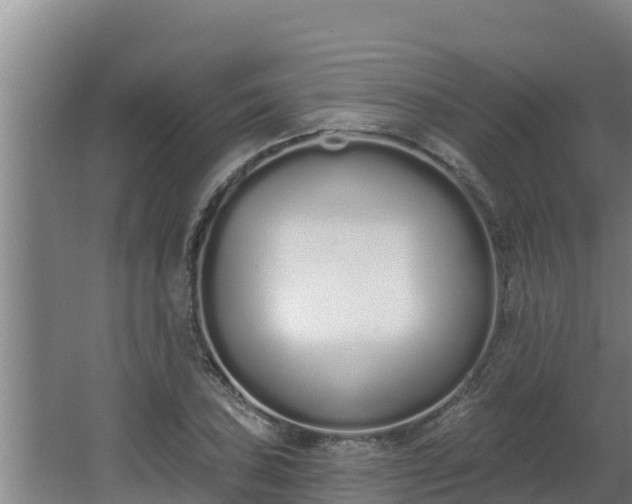 X0000064051027200602031618