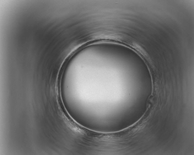 X0000064051028200602031618