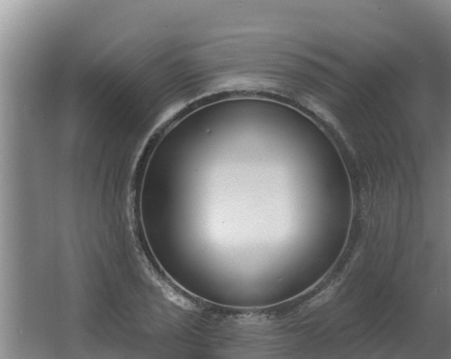 X0000064051029200602031618