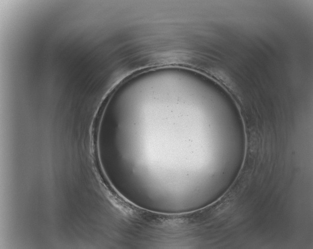 X0000064051031200602031618