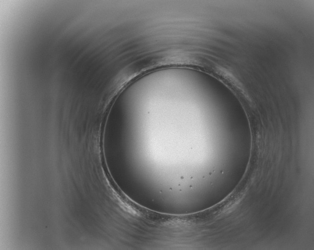 X0000064051033200602031618