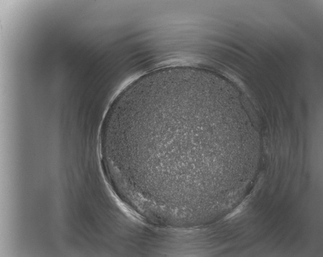 X0000064051034200602031618