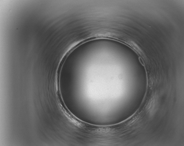 X0000064051036200602031618