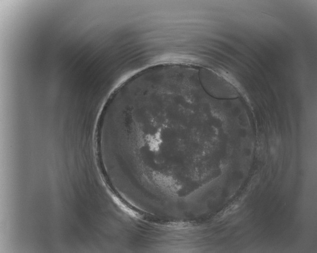 X0000064051037200602031618