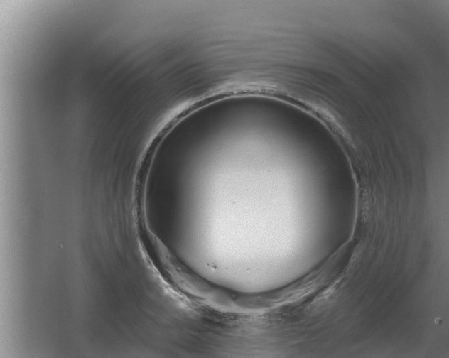 X0000064051038200602031618