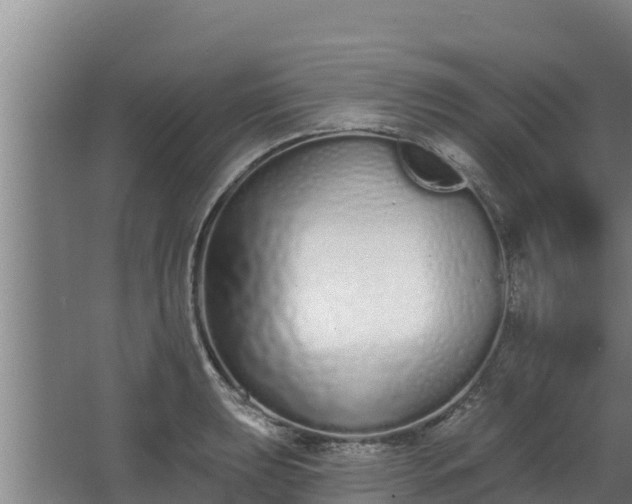 X0000064051039200602031618