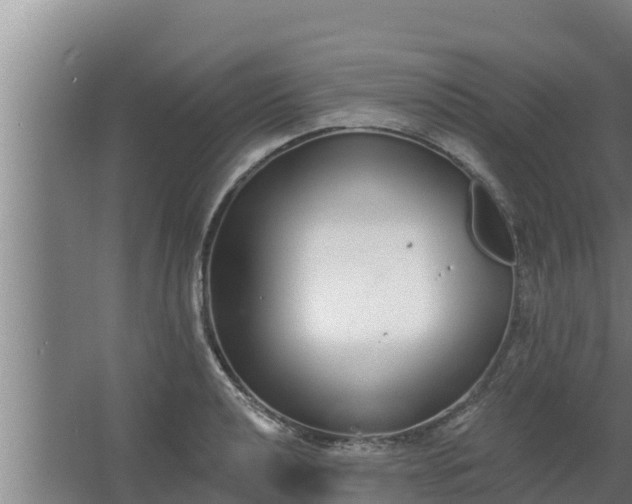 X0000064051040200602031618