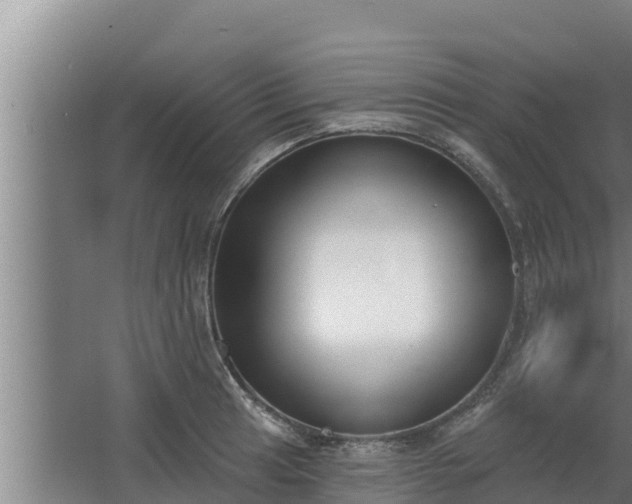 X0000064051041200602031618