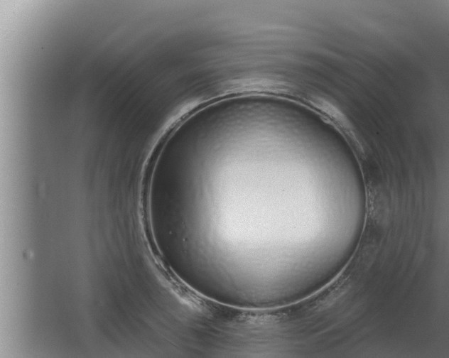 X0000064051043200602031618