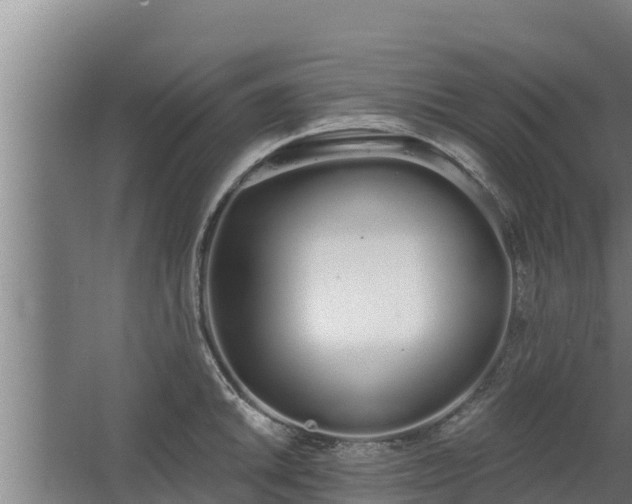 X0000064051046200602031618