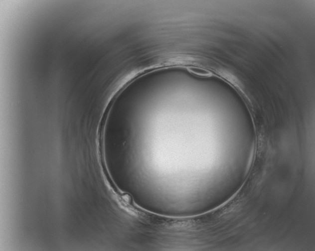 X0000064051047200602031618