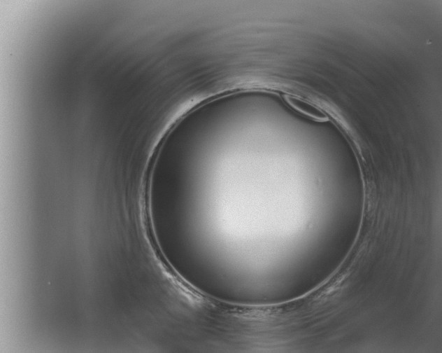 X0000064051048200602031618