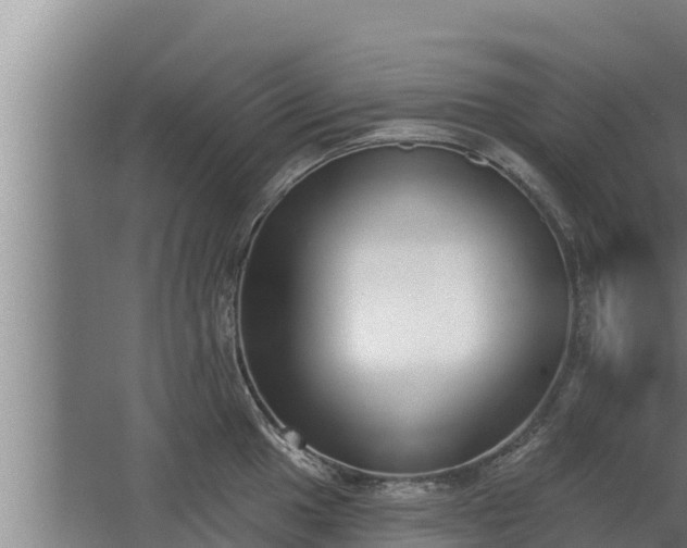 X0000064051049200602031618