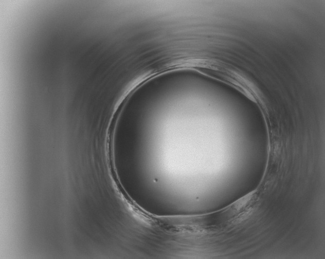 X0000064051050200602031618