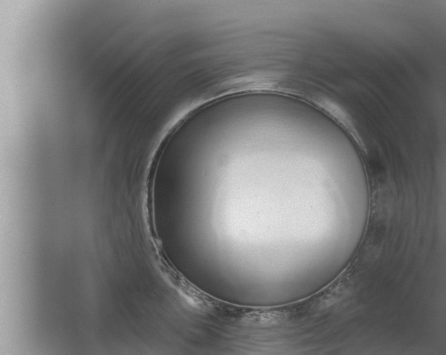 X0000064051051200602031618