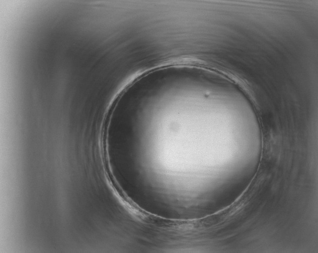 X0000064051054200602031618