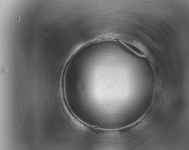 X0000064051055200602031618