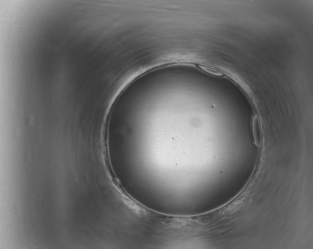 X0000064051056200602031618