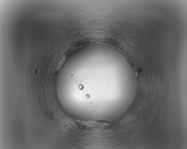 X0000064051057200602031617